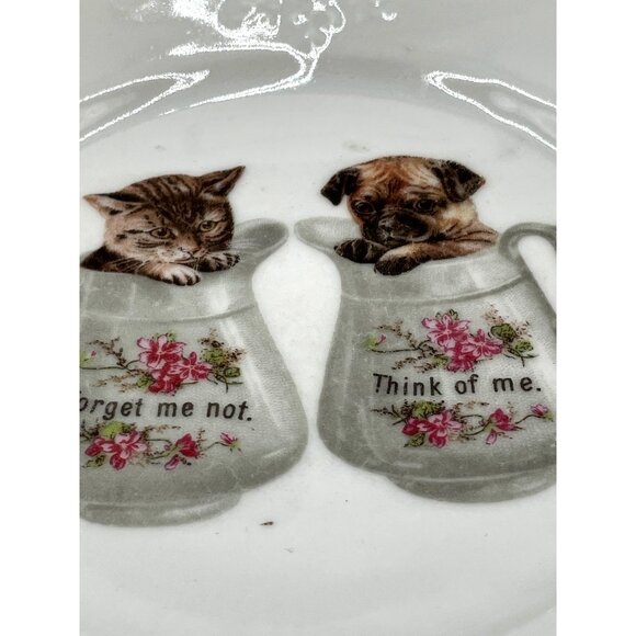 Vintage German Porcelain Plate Cat & Dog Graphic "Forget Me Not" & "Think Of Me" - Picture 5 of 5